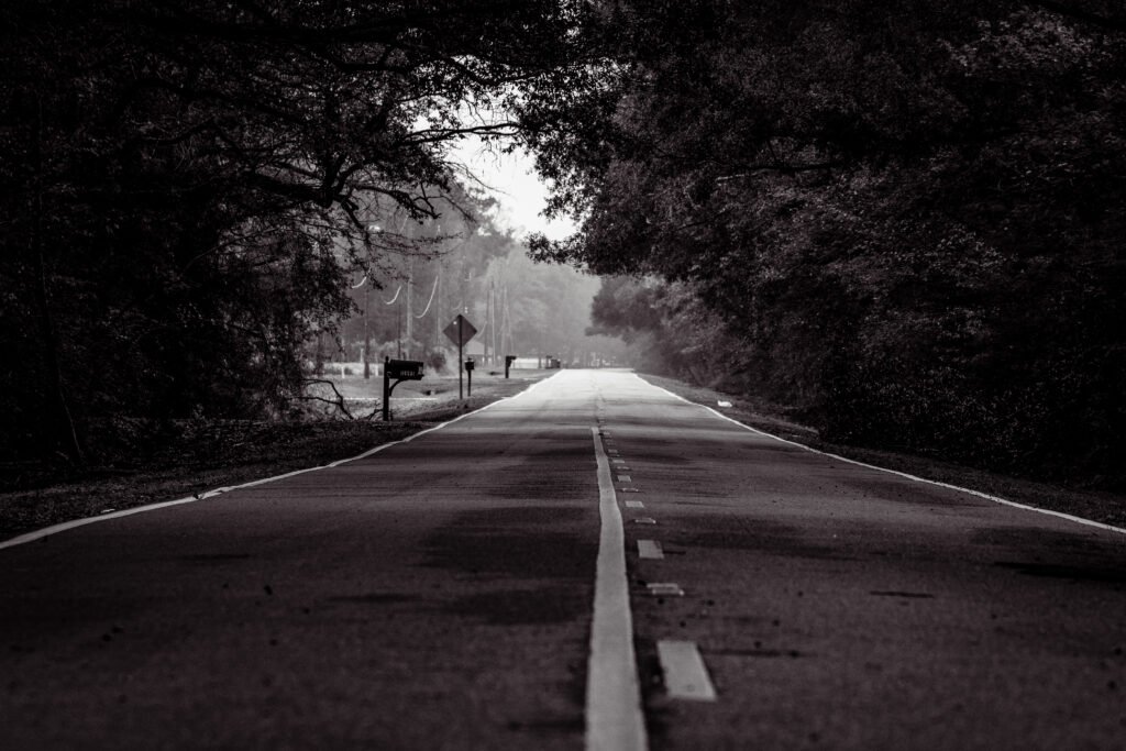 Home back roads of louisiana 1