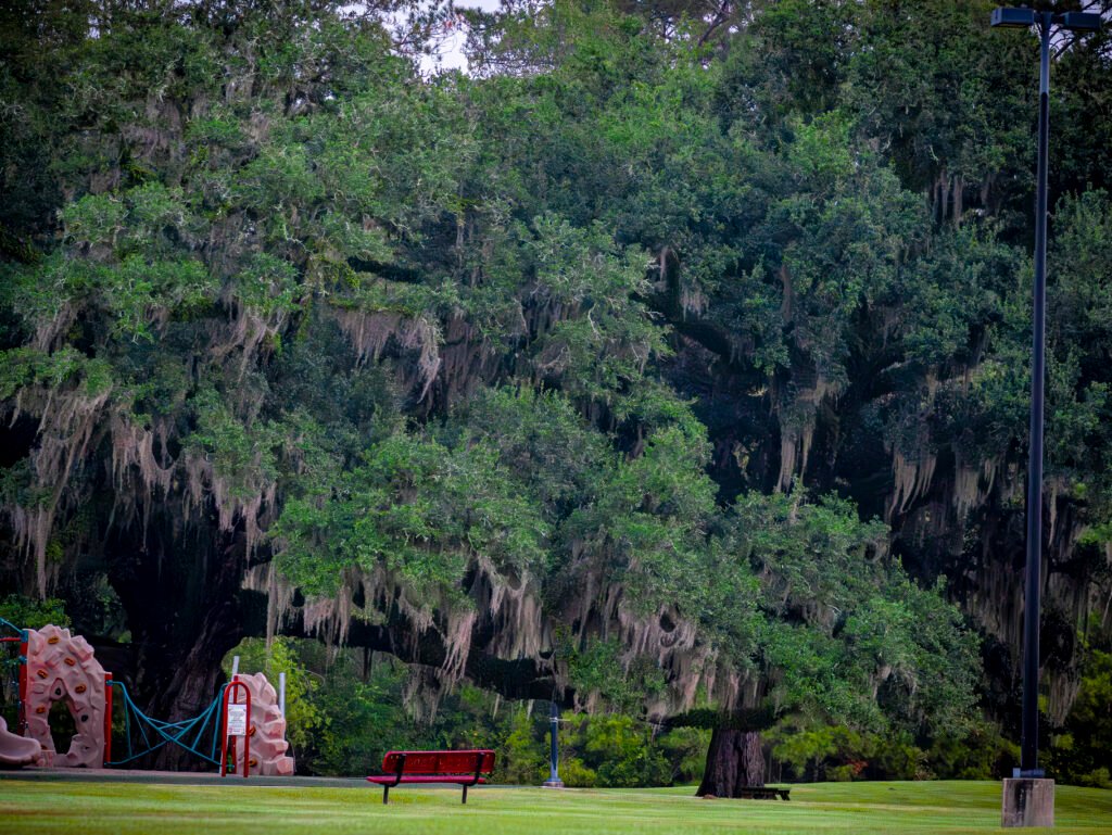 Home ivdimension website 3