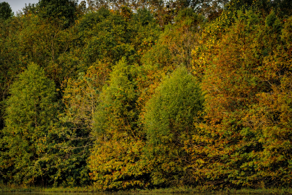 chatgpt image feb 6, 2026, 03 57 32 pm