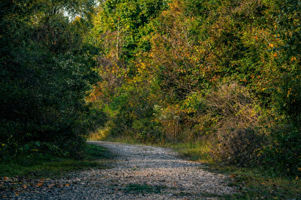 chatgpt image feb 6, 2026, 04 00 42 pm