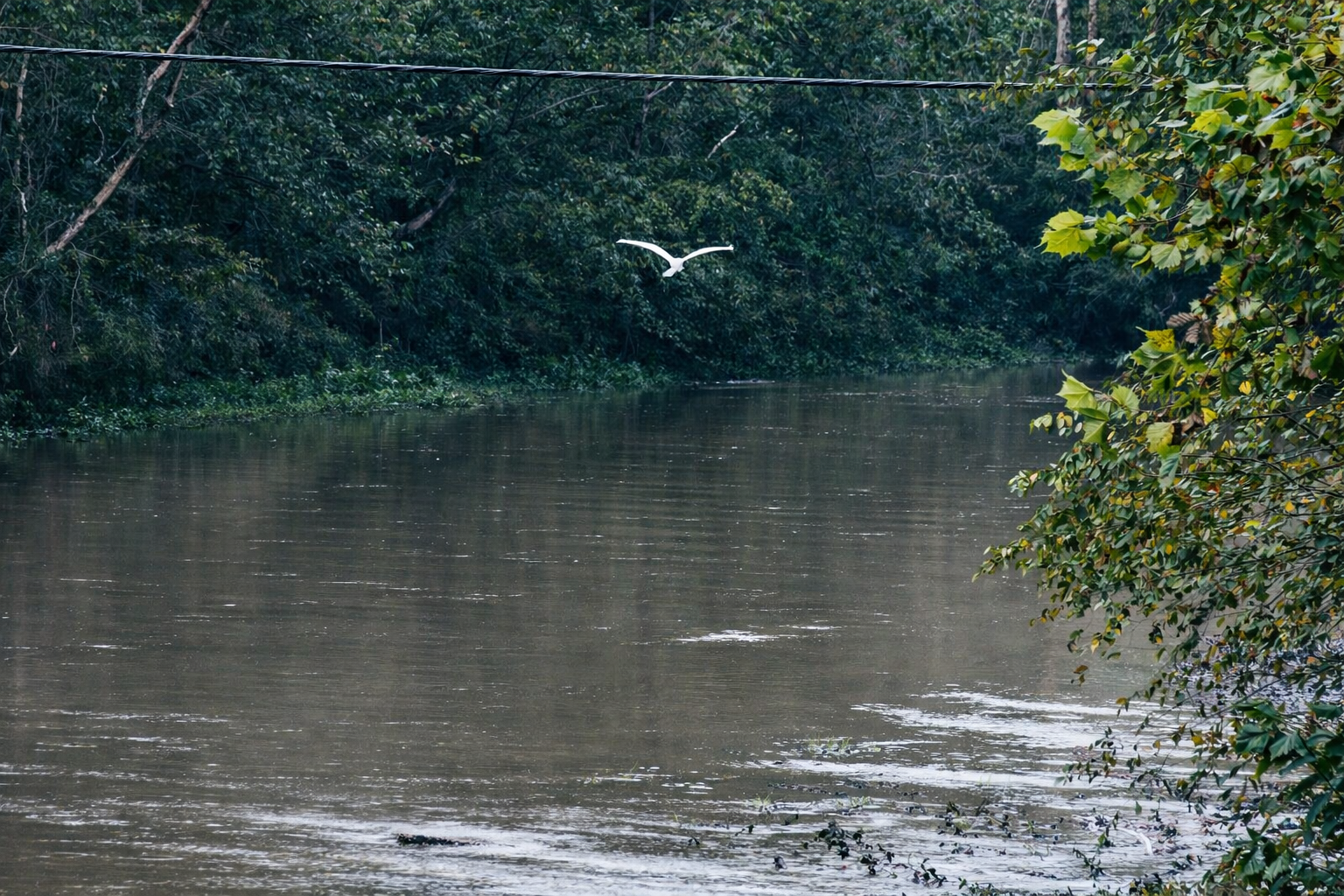 Nature Photography
