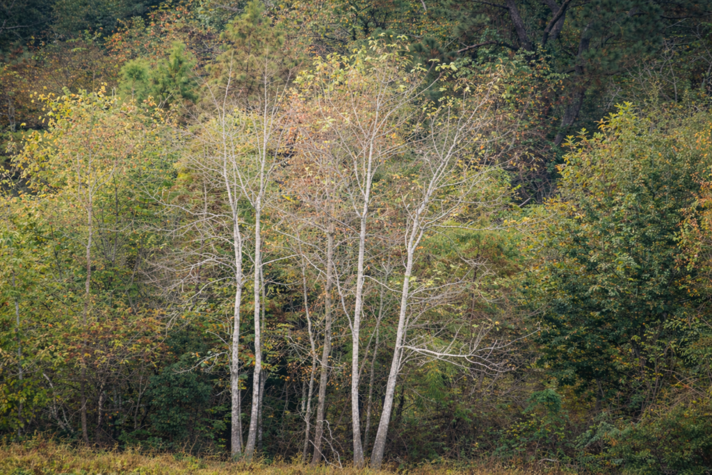 chatgpt image feb 7, 2026, 01 07 08 pm