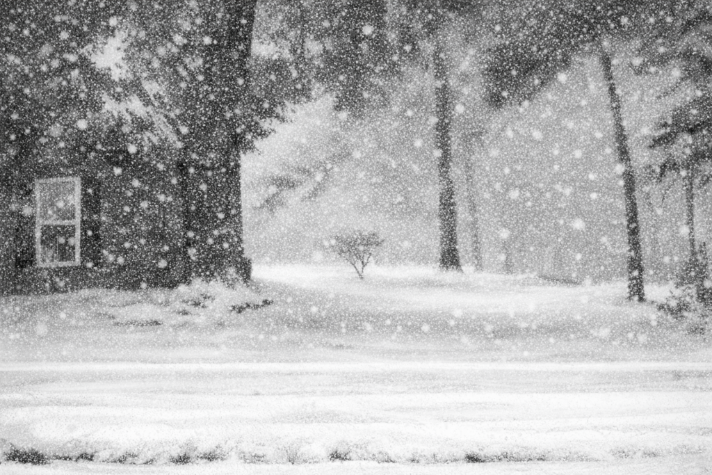 chatgpt image feb 7, 2026, 06 26 27 am