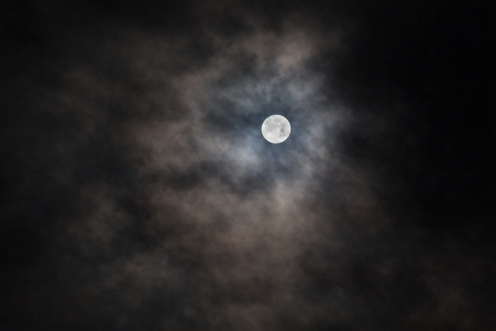 chatgpt image feb 7, 2026, 12 24 31 pm