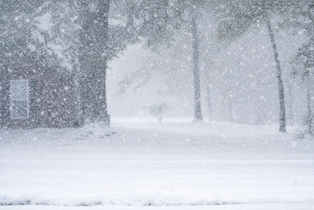 chatgpt image feb 7, 2026, 12 33 05 pm copy