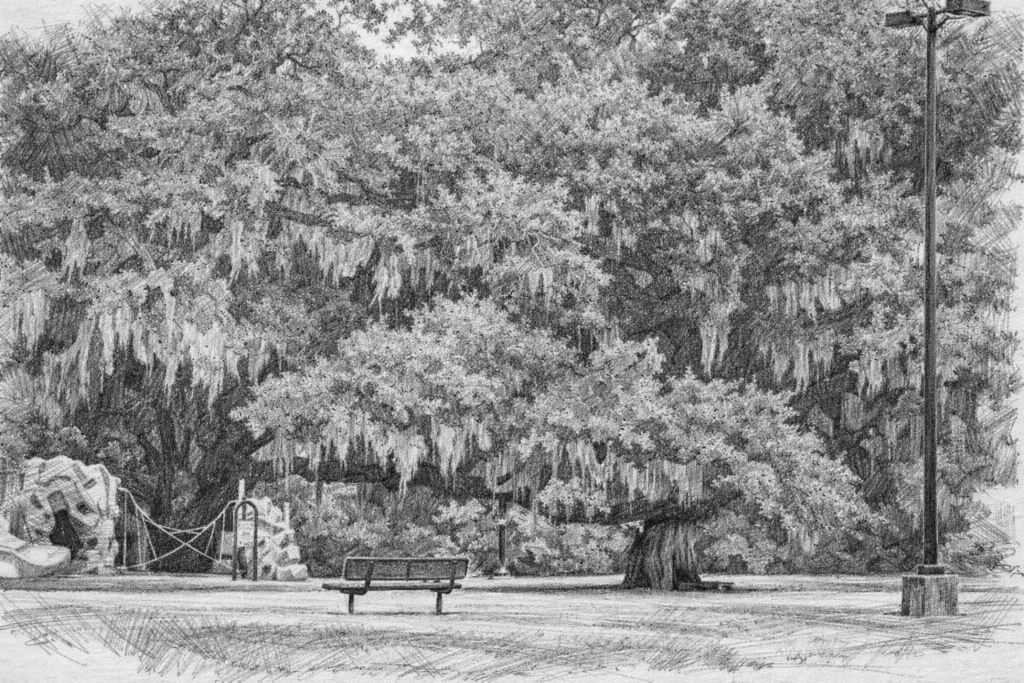 park scene with oak trees and playground
