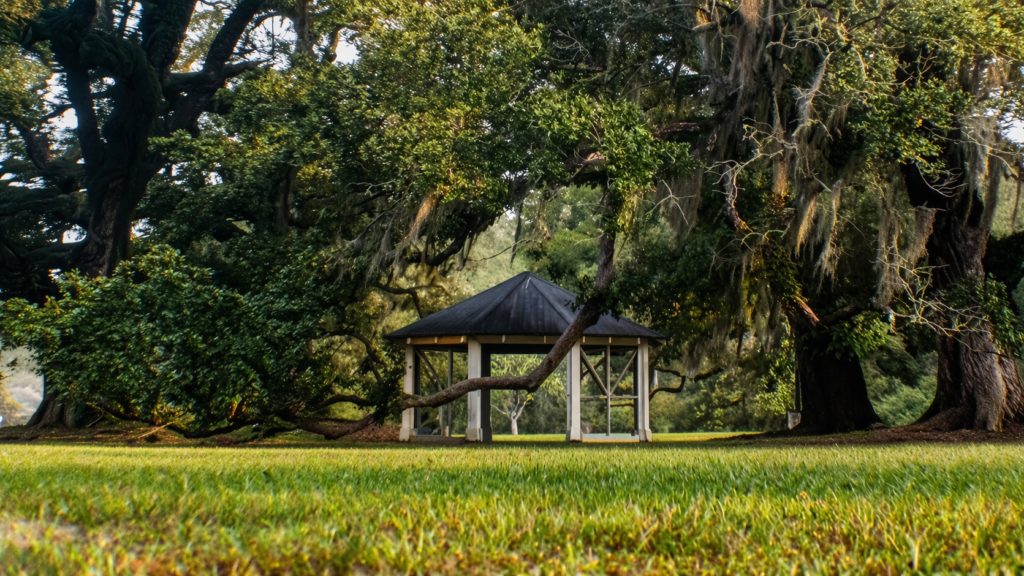 serene park with gazebo and oak trees