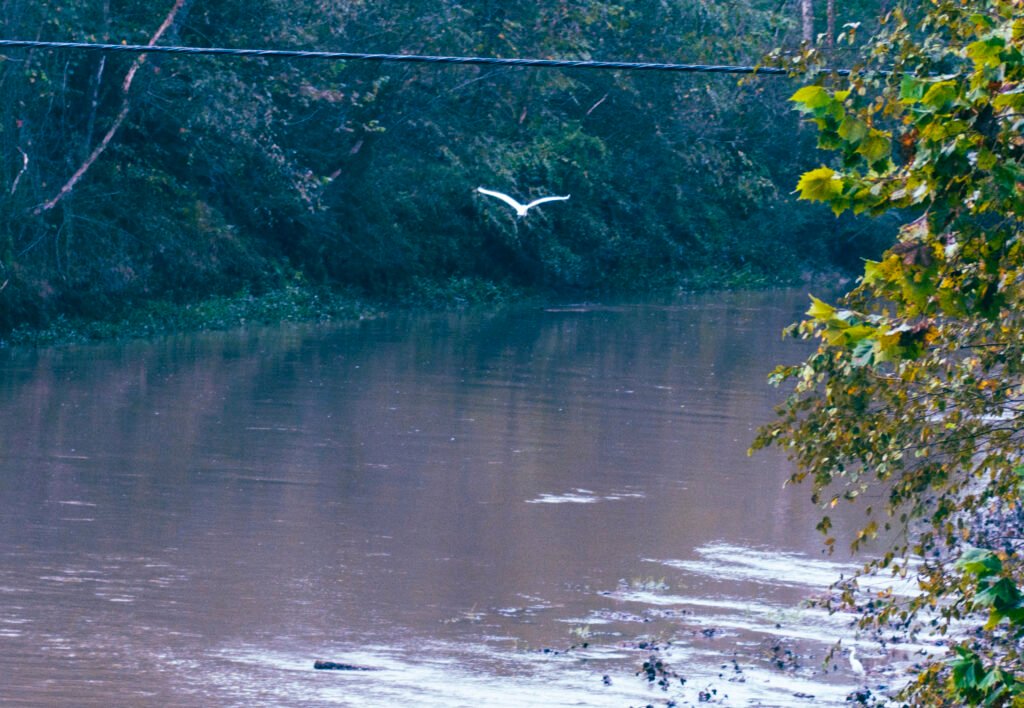 ivdimension website 140