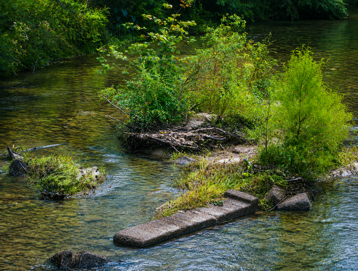 Landscape Photography