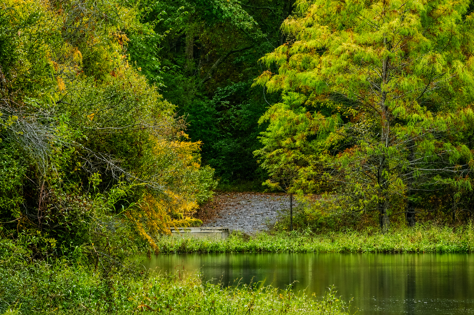 Landscape Photography
