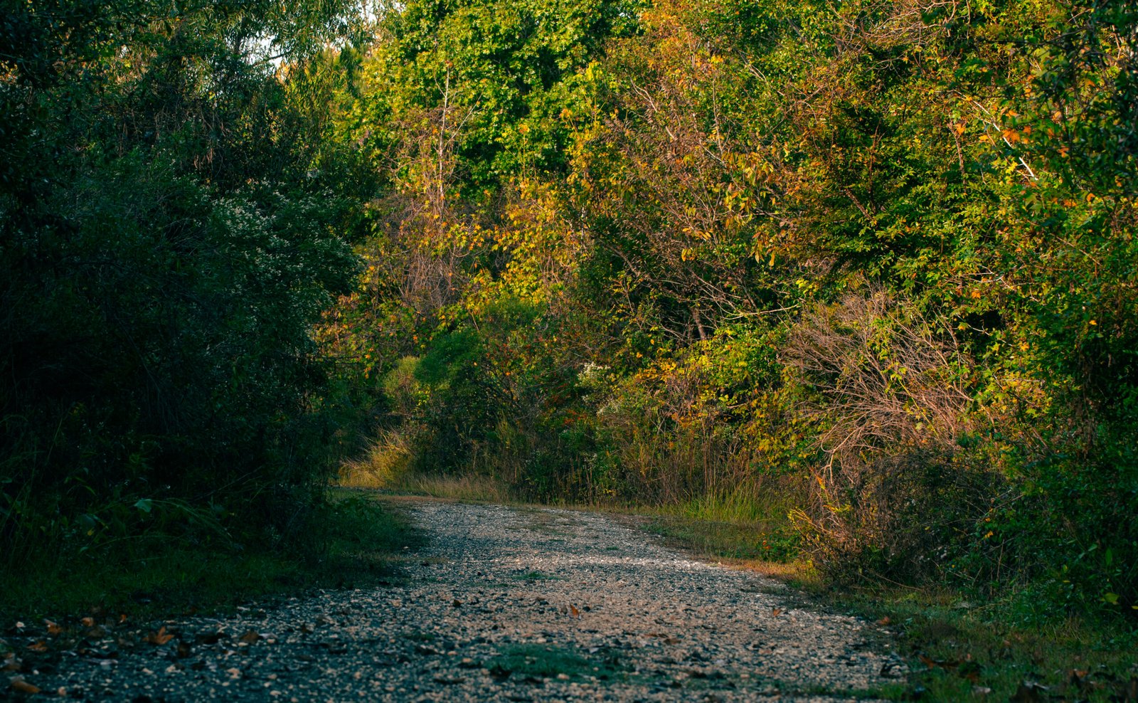Landscape Photography