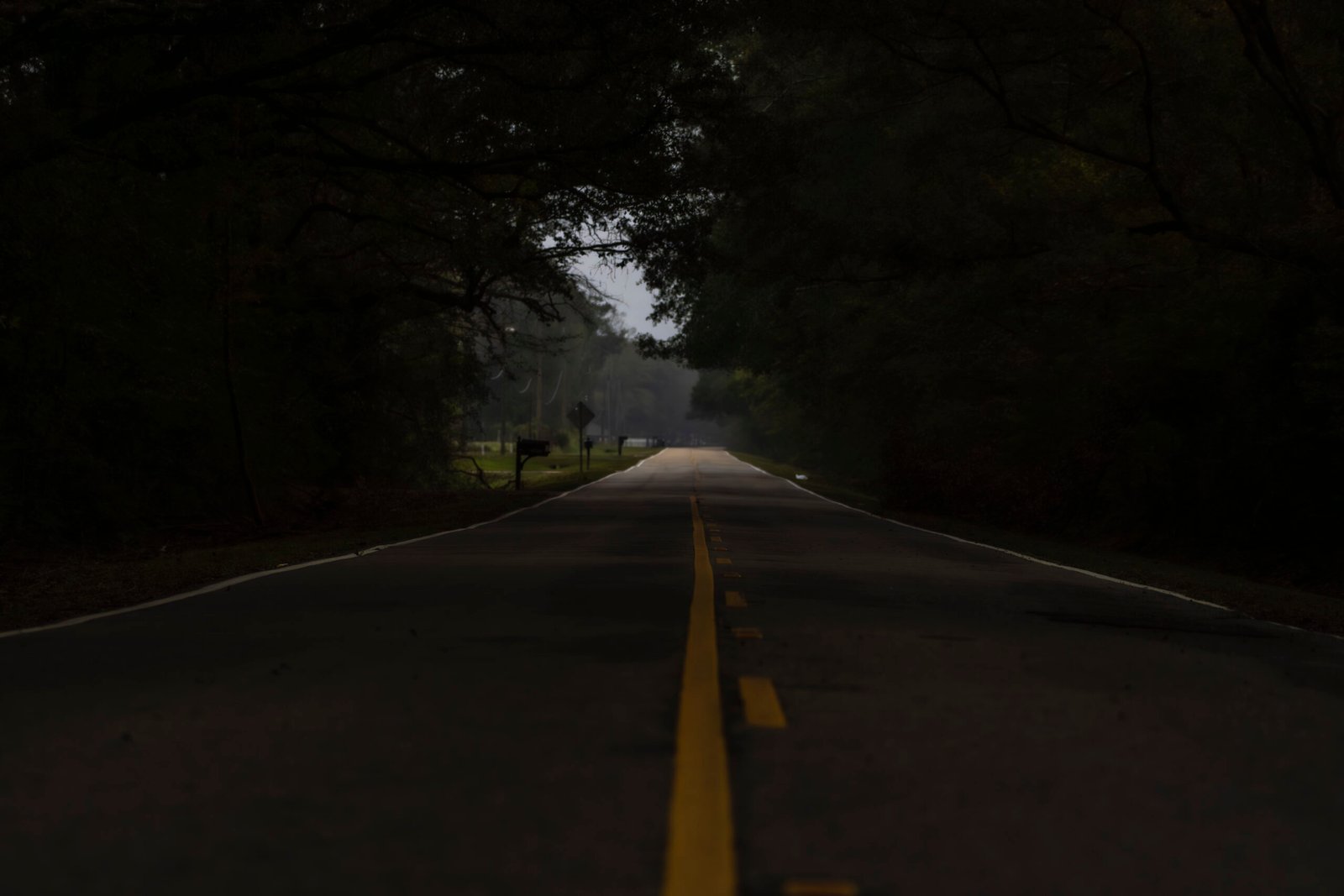 Landscape Photography