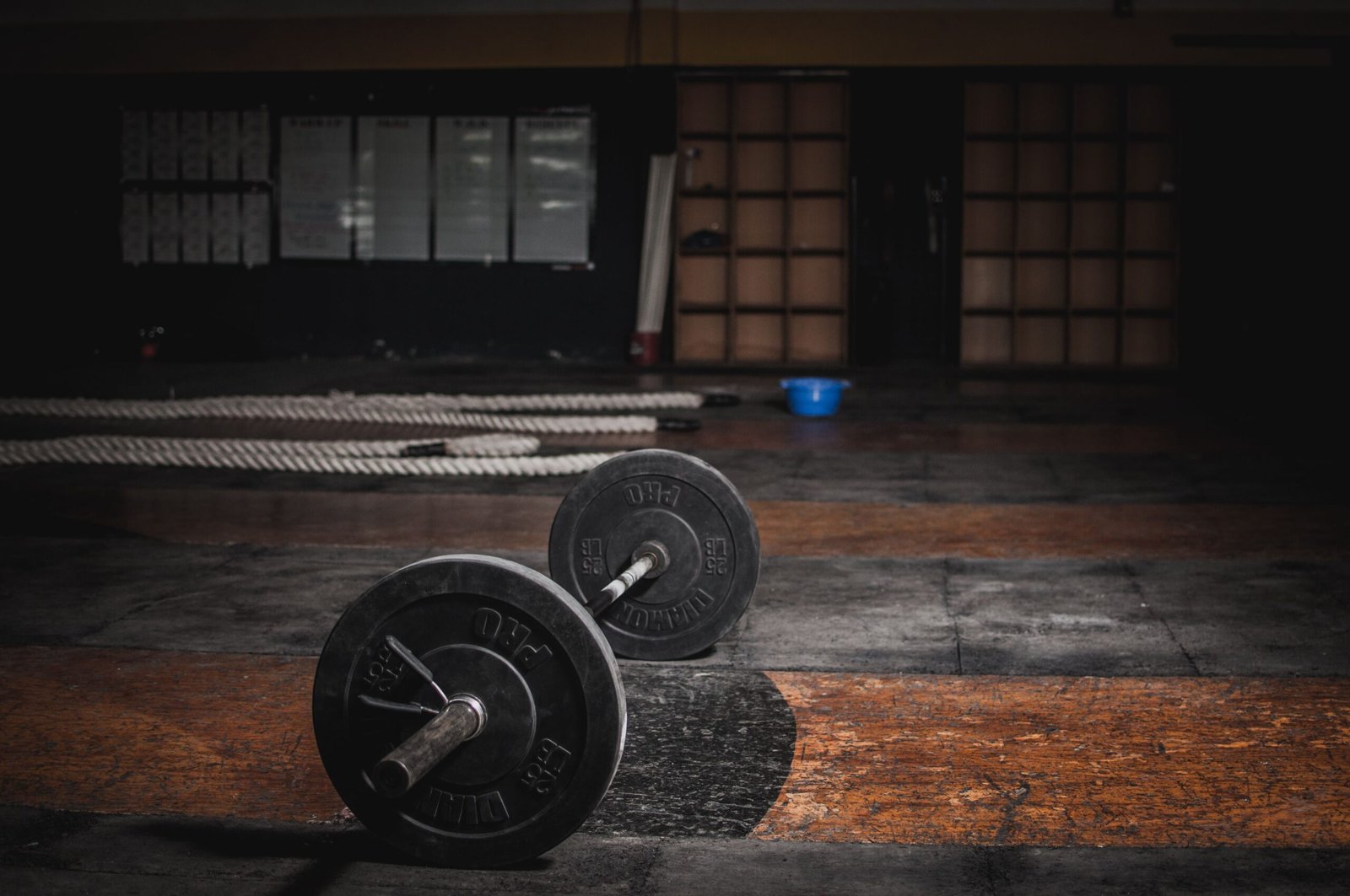 Our Businesses IV Quarters Fitness strength and performance training